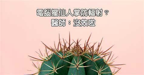 房間可以放鮮花嗎